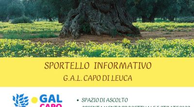 PROSEGUE ATTIVITA' SPORTELLO INFORMATIVO BANDO XYLELLA FASTIDIOSA