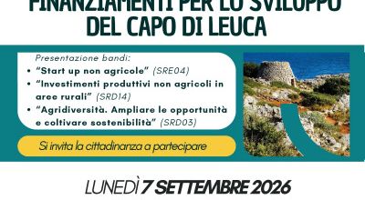 Opportunità di finanziamento e sviluppo locale: il GAL Capo di Leuca incontr...