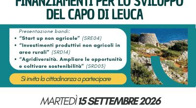 STRATEGIE DI SVILUPPO LOCALE E NUOVE OPPORTUNITÀ DI FINANZIAMENTO: NUOVO INC...
