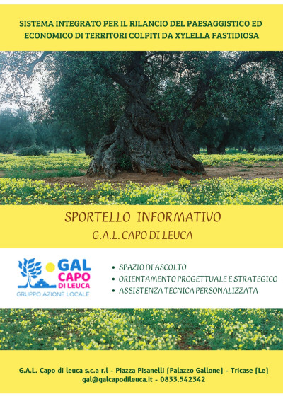 PROSEGUE ATTIVITA' SPORTELLO INFORMATIVO BANDO XYLELLA FASTIDIOSA