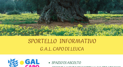 PROSEGUE ATTIVITA' SPORTELLO INFORMATIVO BANDO XYLELLA FASTIDIOSA