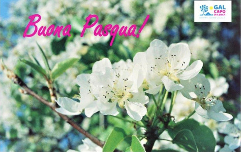 AUGURI DI BUONA PASQUA!