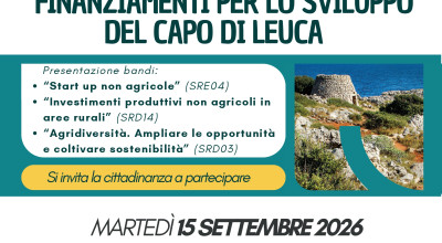 STRATEGIE DI SVILUPPO LOCALE E NUOVE OPPORTUNIT&Agrave; DI FINANZIAMENTO: NUO...