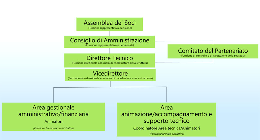 Organigramma